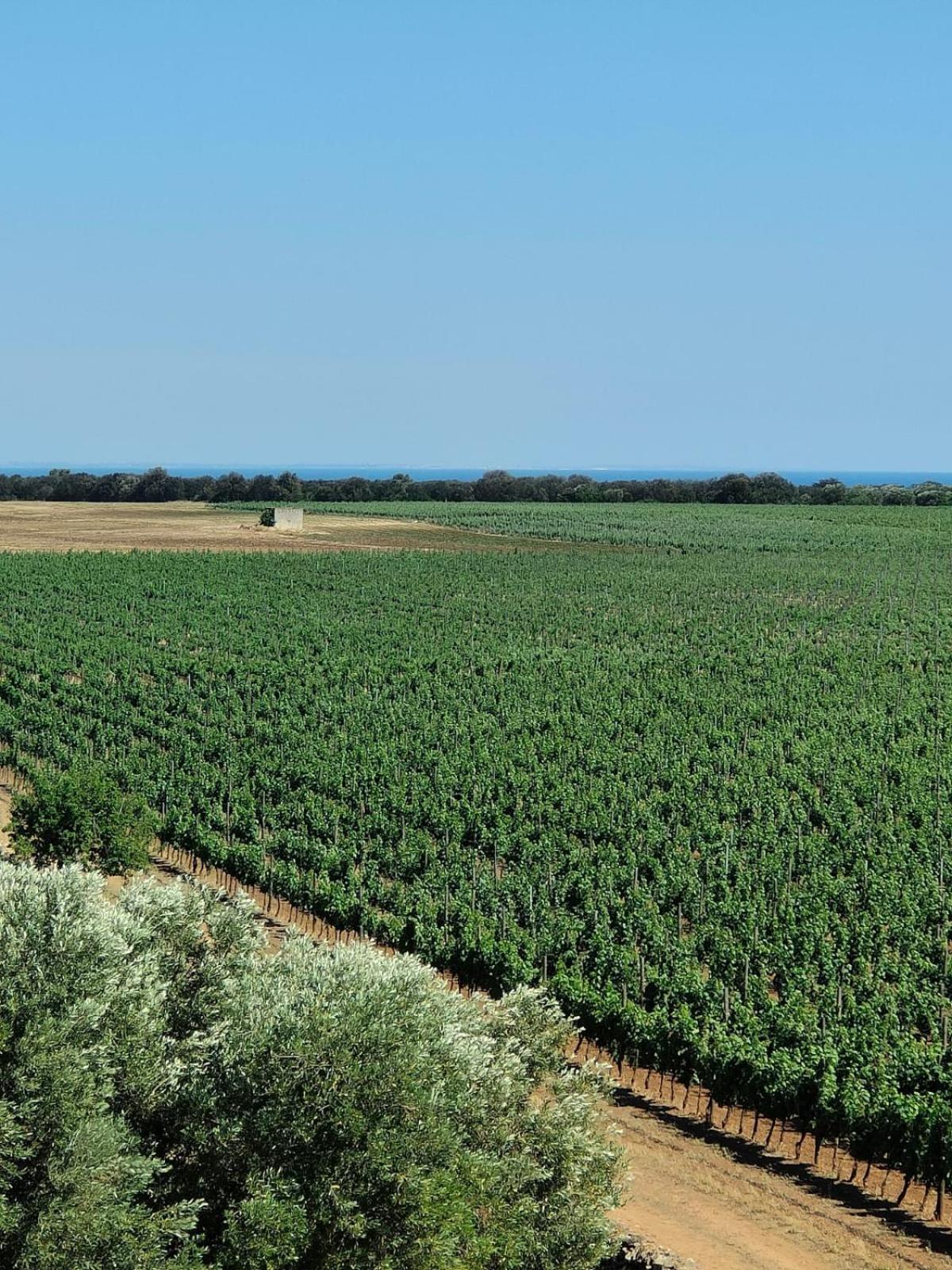 Nordisk Village Puglia Manduria Exterior foto
